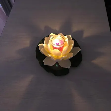 شقة Criss كونستانتا