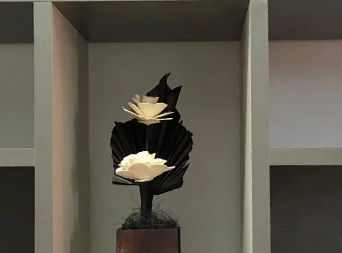 Apartament Criss Constanţa